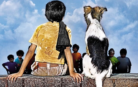 Best Bollywood Movies for Animal Lovers