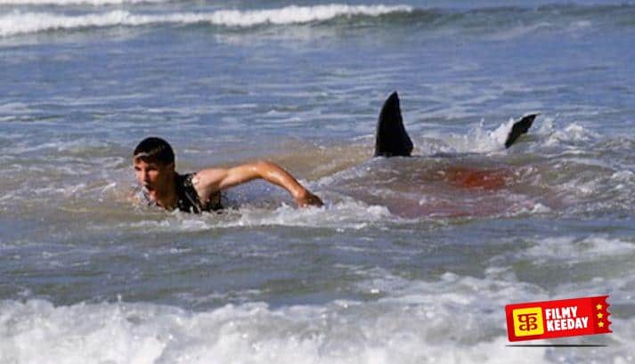12 Days of Terror 2004 shark attack movie