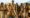 Sonchiriya Best movies on baaghi